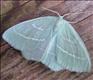 1673 (70.302) Small Emerald